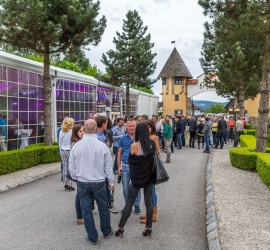 Guglwald Kabarettsommer 2015