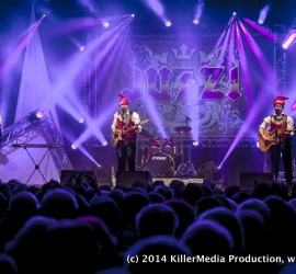 Wenn die Musi spielt - Konzerttournee 2014