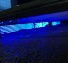 Messestand Goldeck BluTimes 